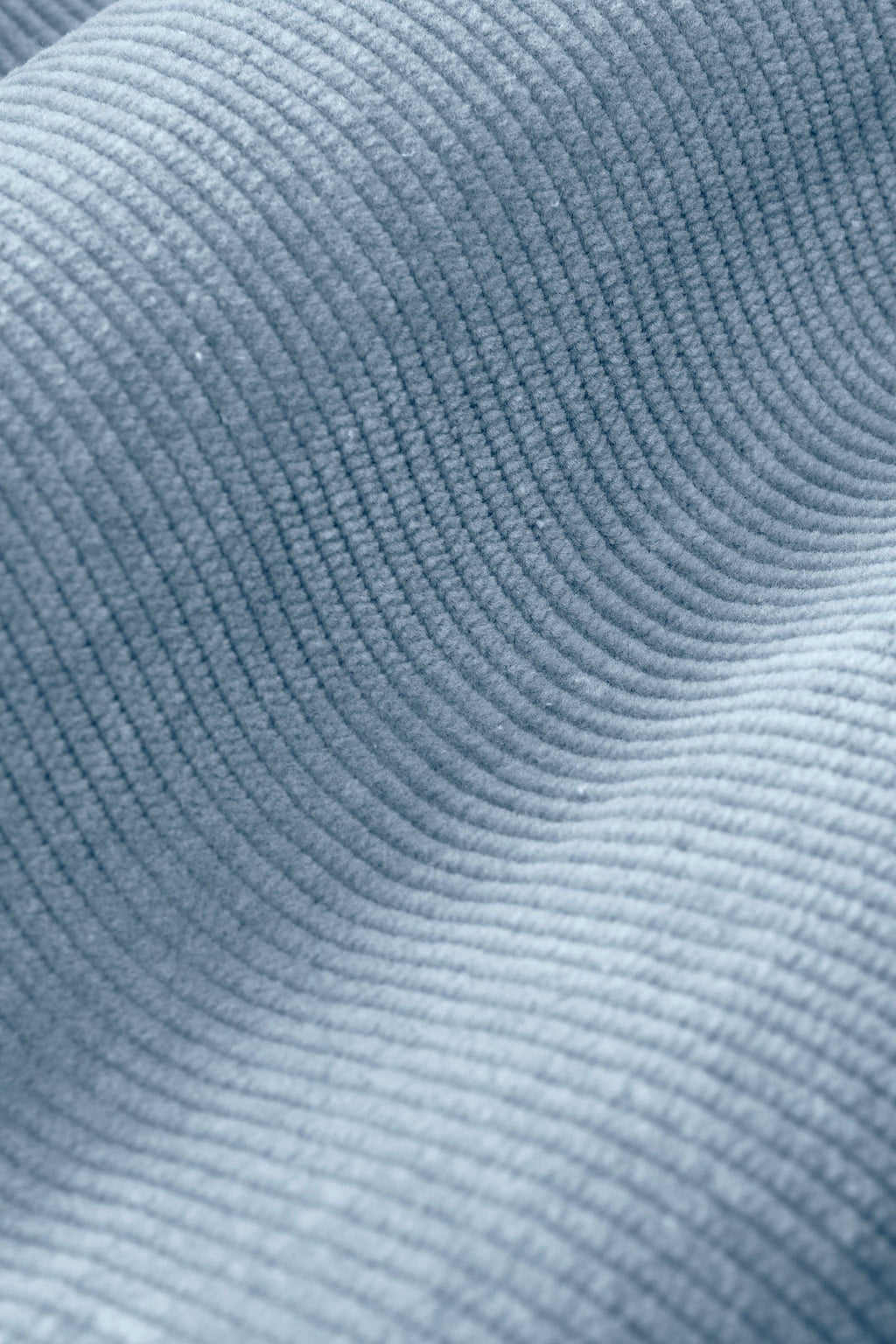 Antarctics * The Cords
